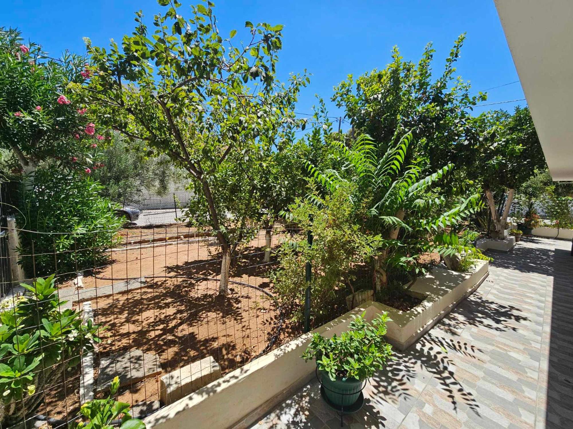 Appartement Melograno à Markópoulon Extérieur photo